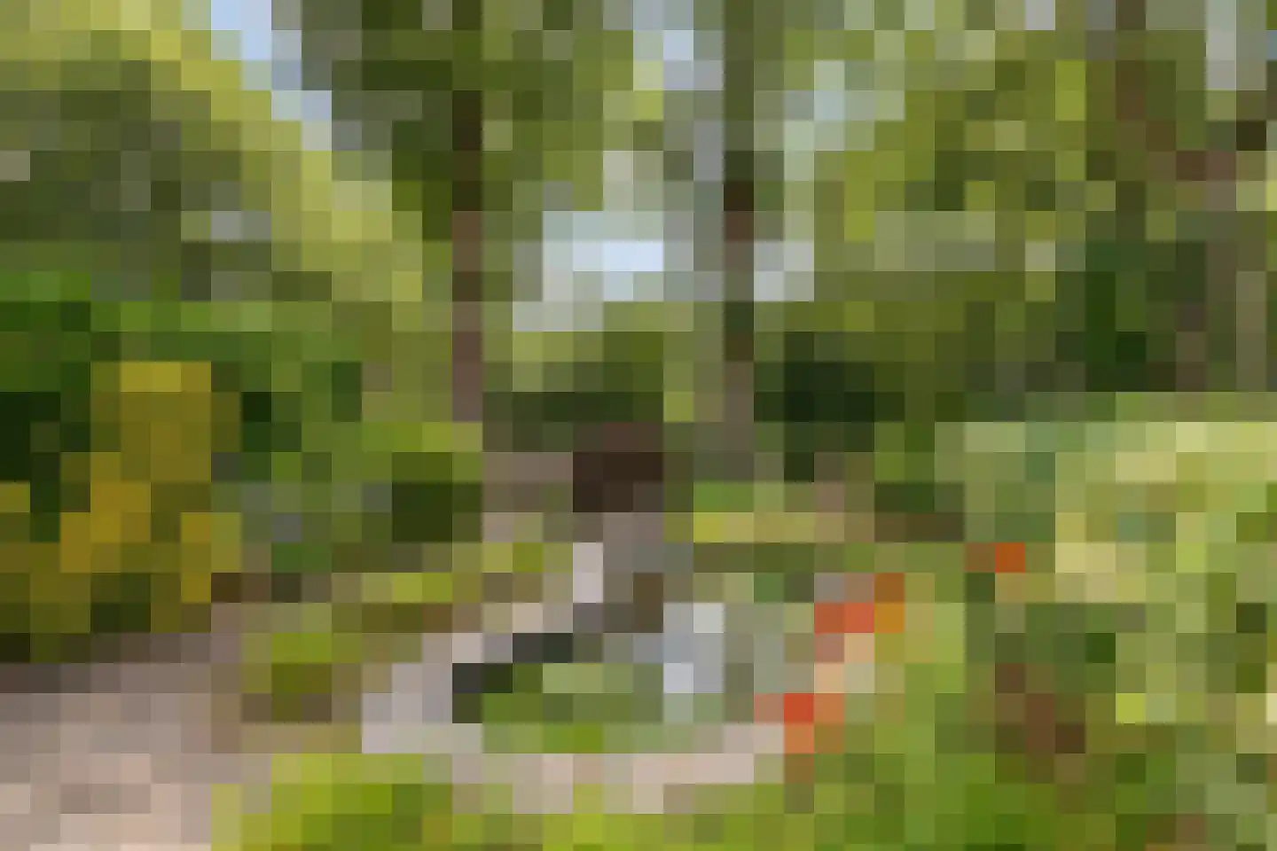 Meierijhoeven 103 Rosmalen thumbnail 27