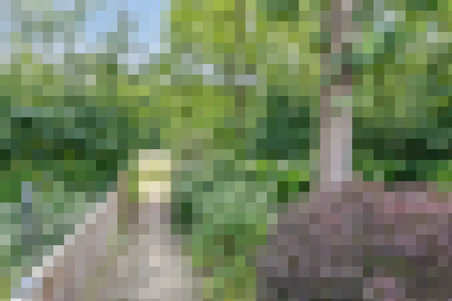 Meierijhoeven 103 Rosmalen thumbnail 32