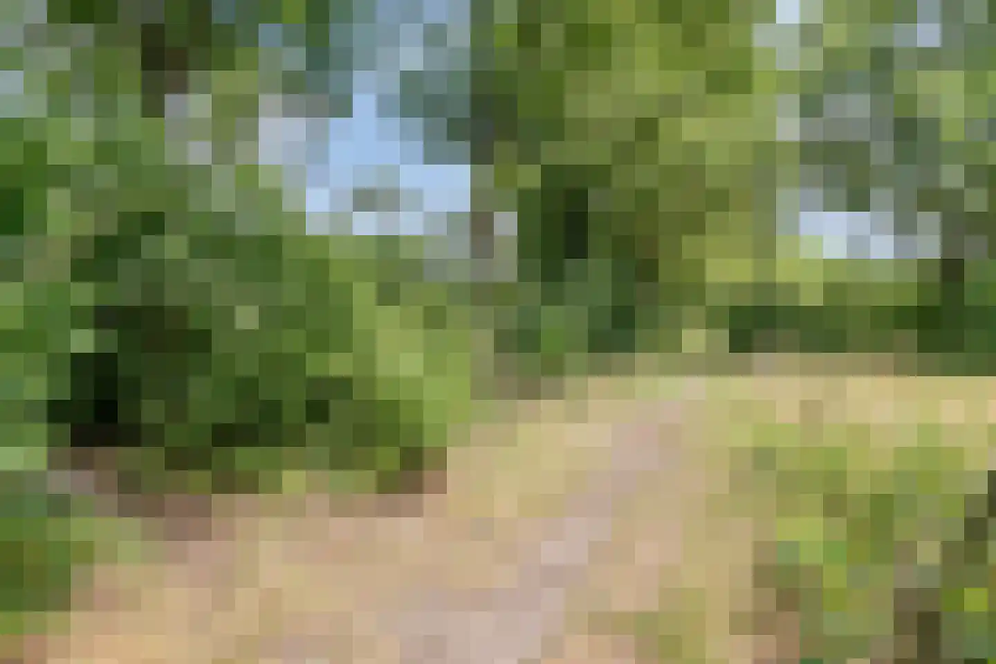 Meierijhoeven 103 Rosmalen thumbnail 33