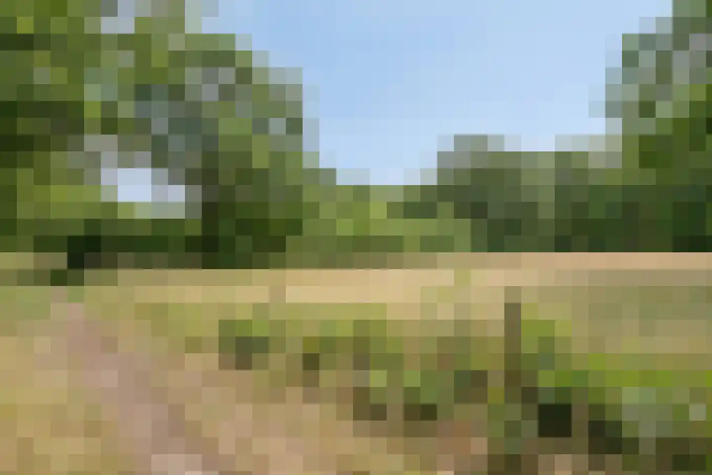 Meierijhoeven 103 Rosmalen thumbnail 34