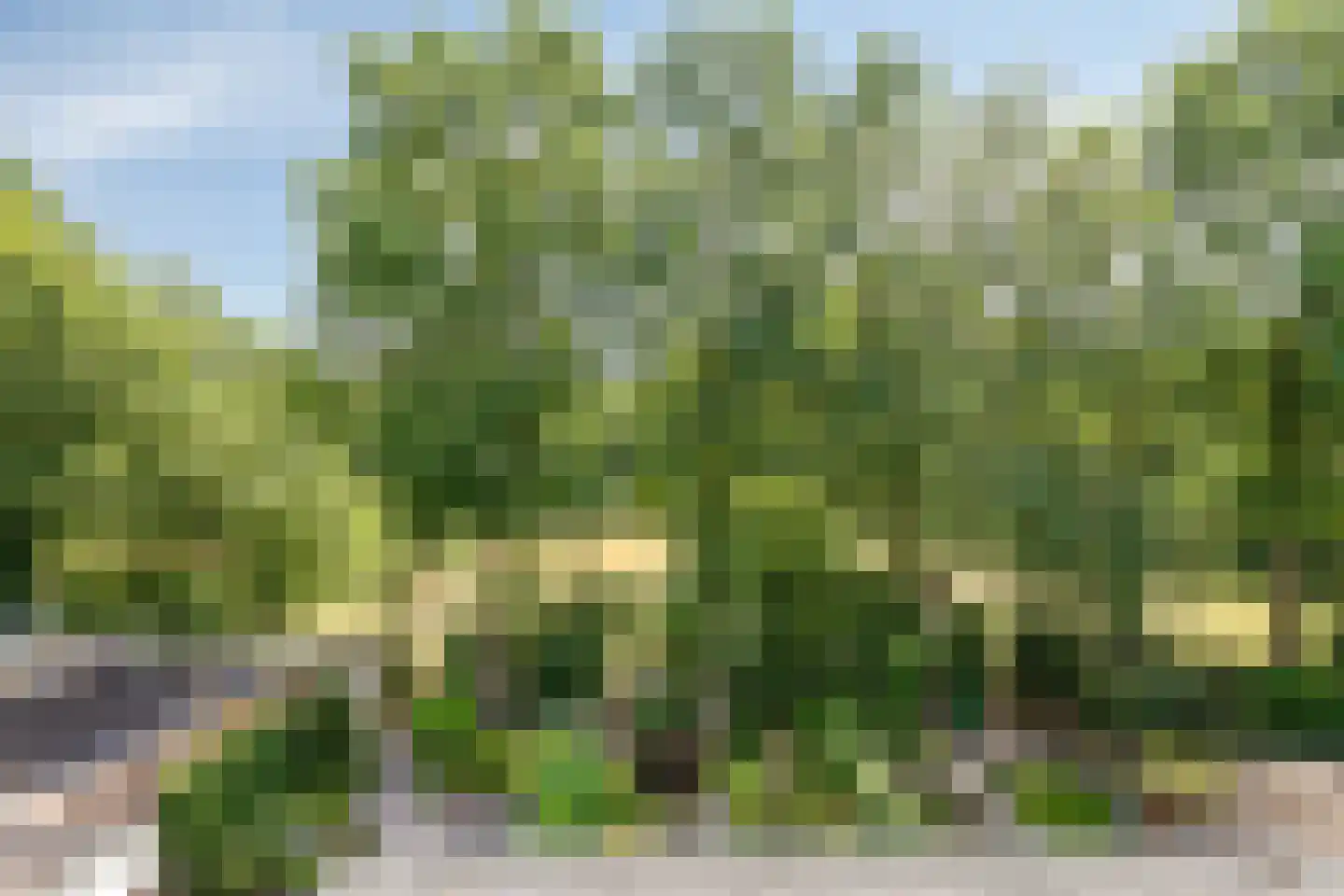 Meierijhoeven 103 Rosmalen thumbnail 36