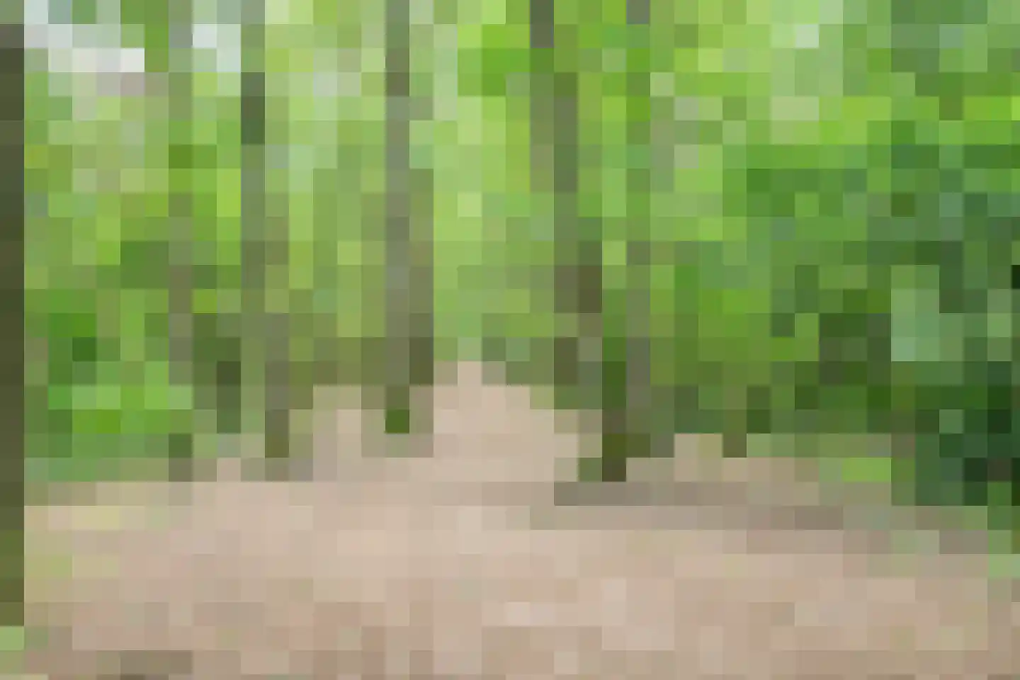 Meierijhoeven 103 Rosmalen thumbnail 37