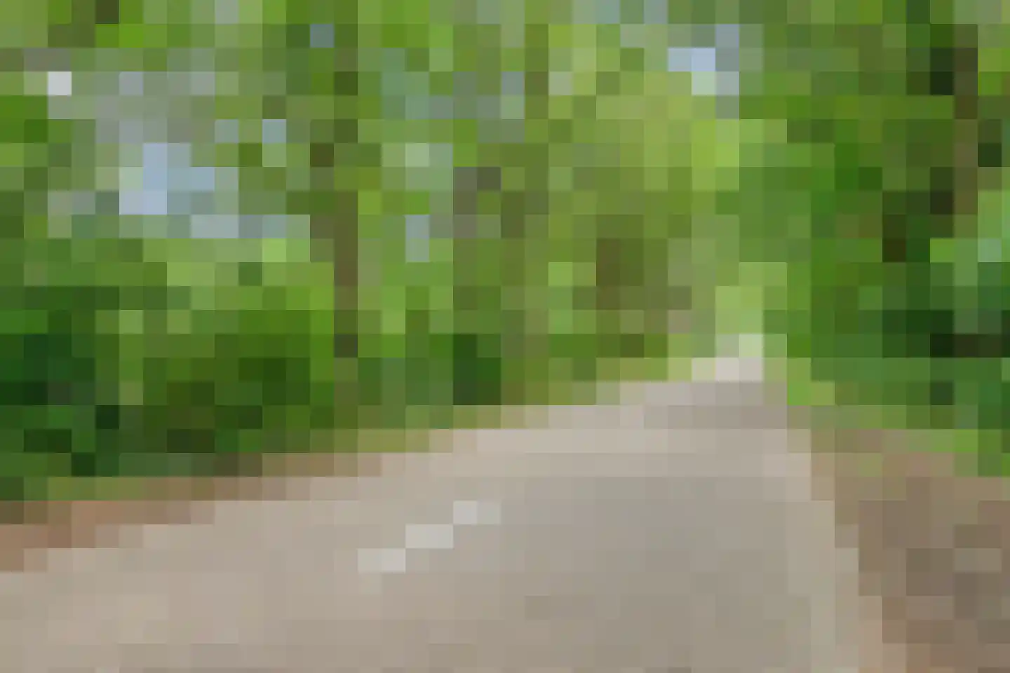 Meierijhoeven 103 Rosmalen thumbnail 38