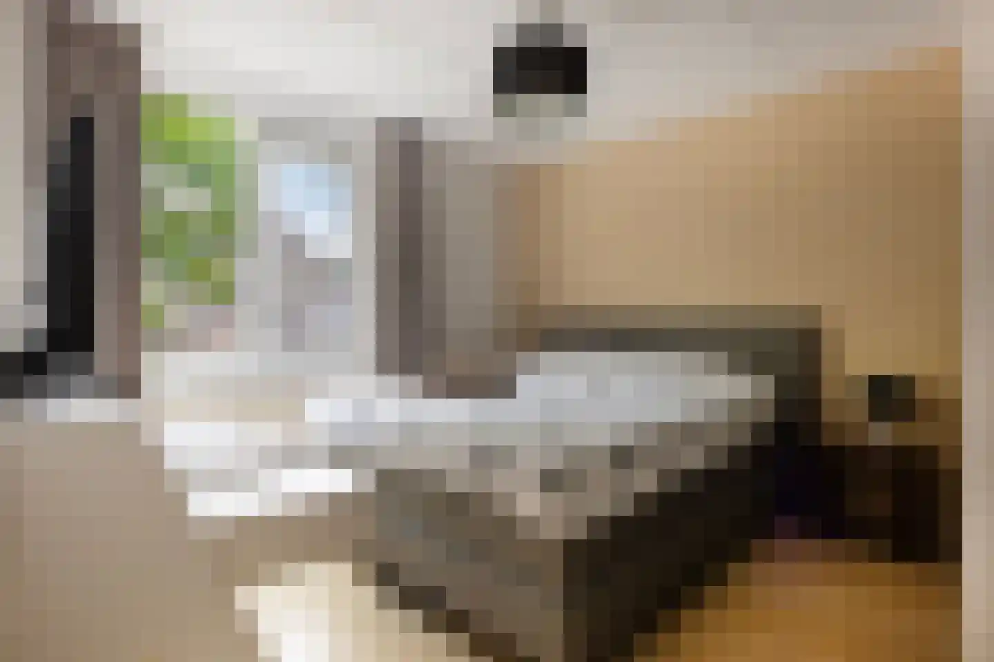 Meierijhoeven 113 Rosmalen thumbnail 13