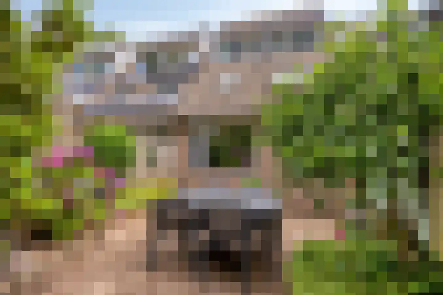 Meierijhoeven 113 Rosmalen thumbnail 28