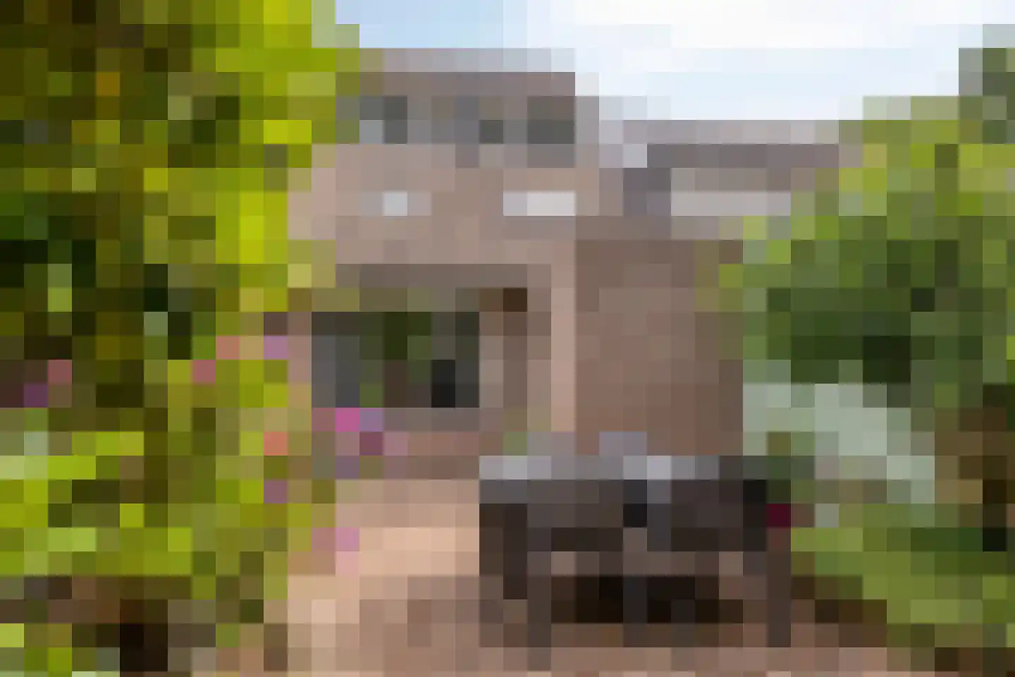Meierijhoeven 113 Rosmalen thumbnail 29