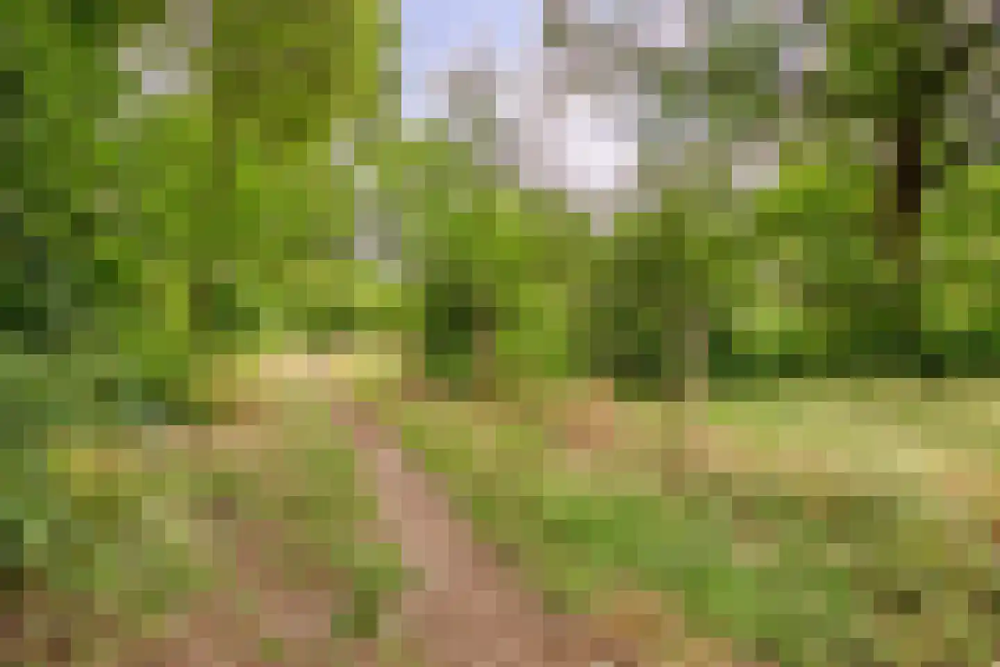 Meierijhoeven 113 Rosmalen thumbnail 37