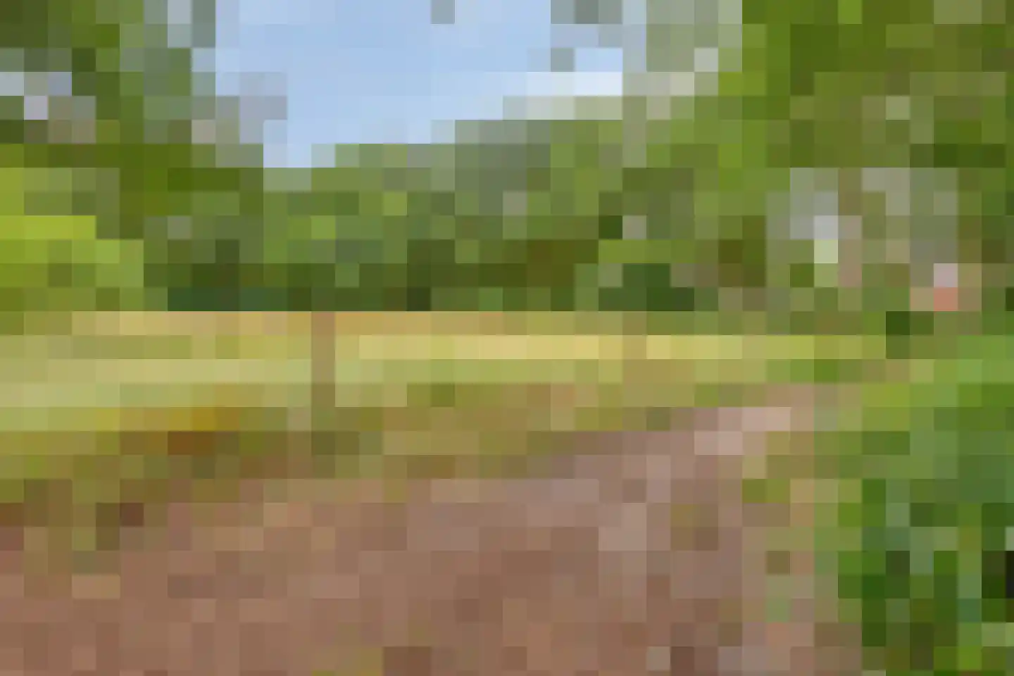 Meierijhoeven 113 Rosmalen thumbnail 38