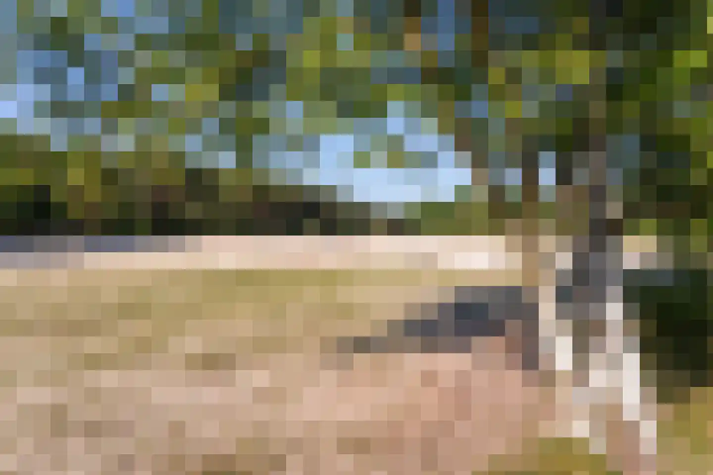 Meierijhoeven 113 Rosmalen thumbnail 40