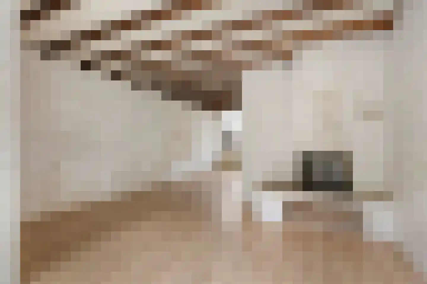 Meierijlaan 102 Eindhoven thumbnail 11
