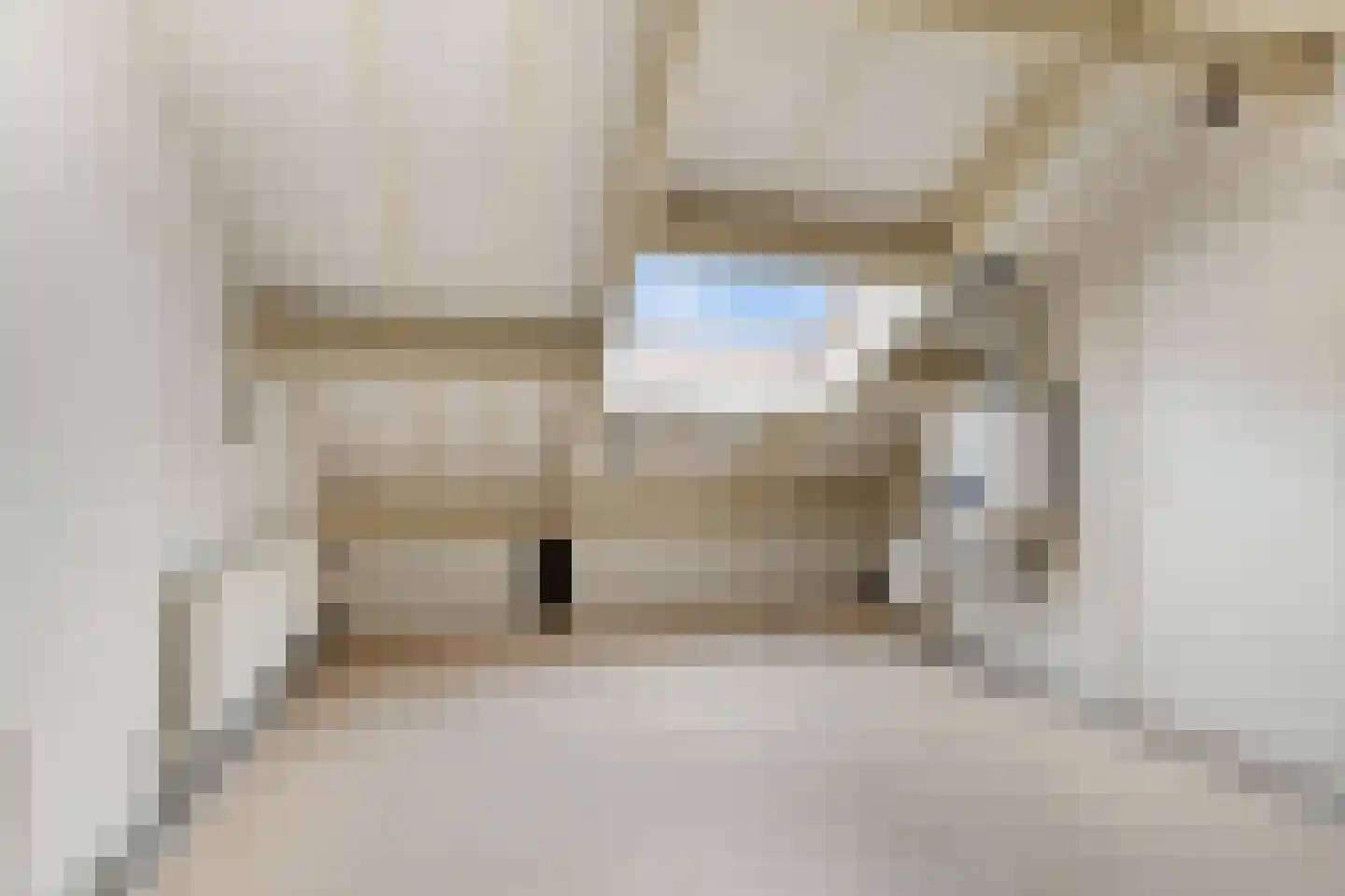 Meierijlaan 102 Eindhoven thumbnail 22