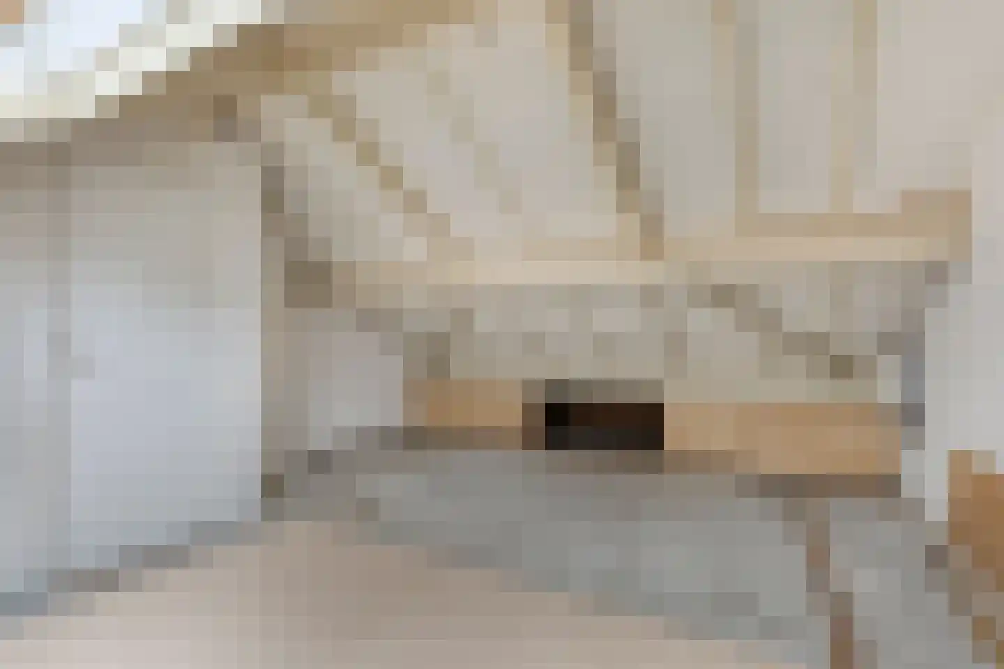 Meierijlaan 102 Eindhoven thumbnail 23