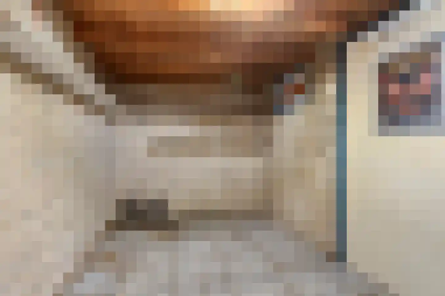 Meierijlaan 102 Eindhoven thumbnail 29
