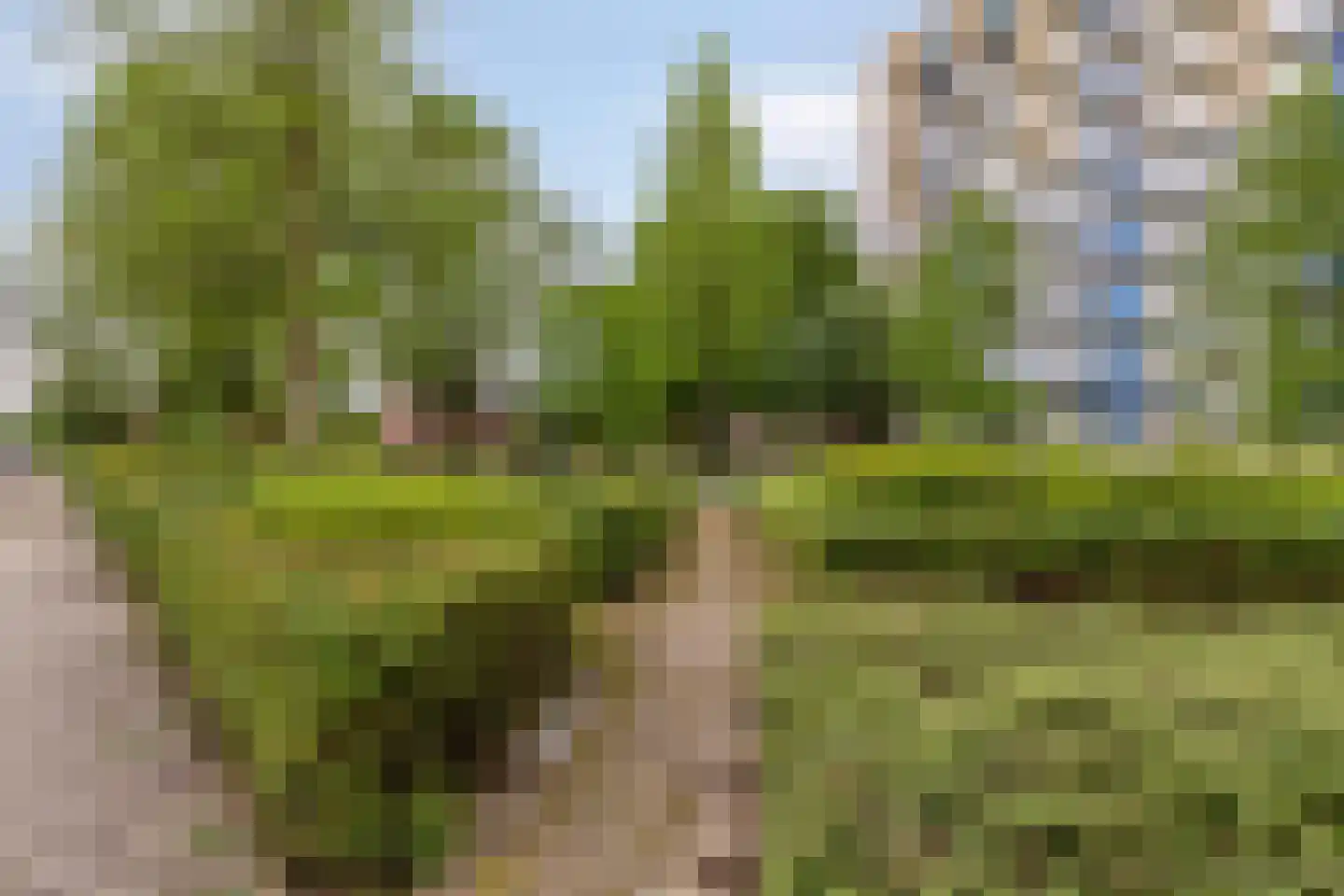 Meierijlaan 102 Eindhoven thumbnail 33