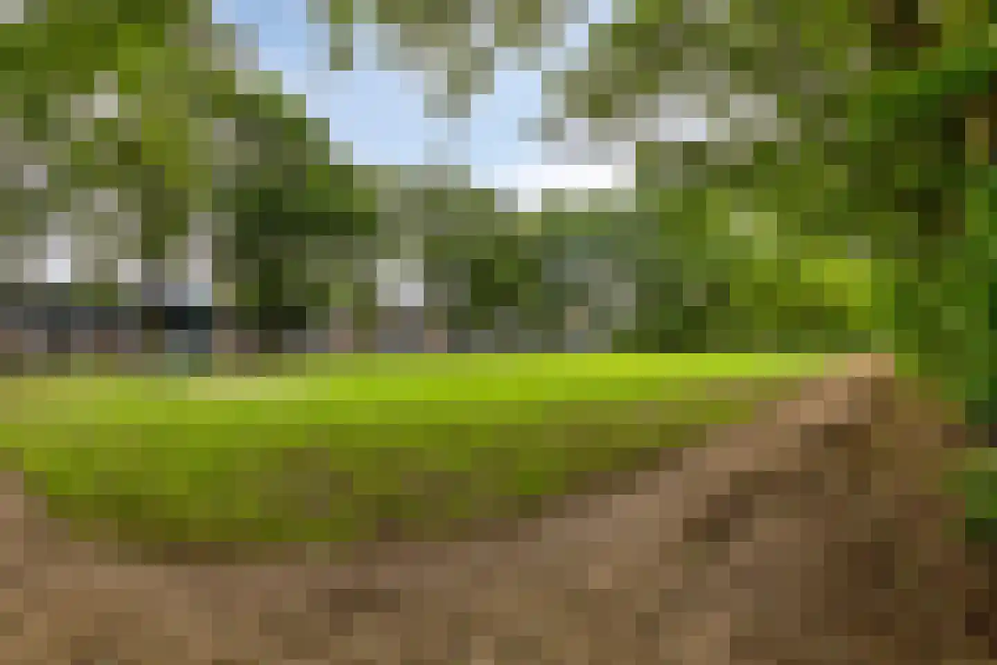 Meierijlaan 102 Eindhoven thumbnail 35