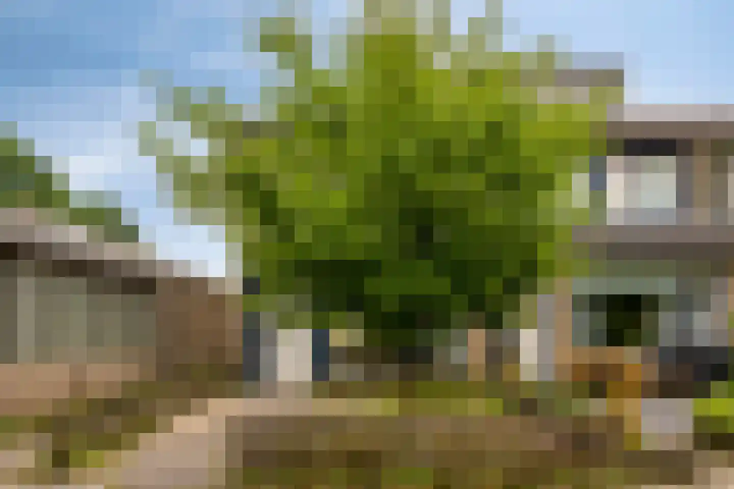 Meierijlaan 102 Eindhoven thumbnail 7