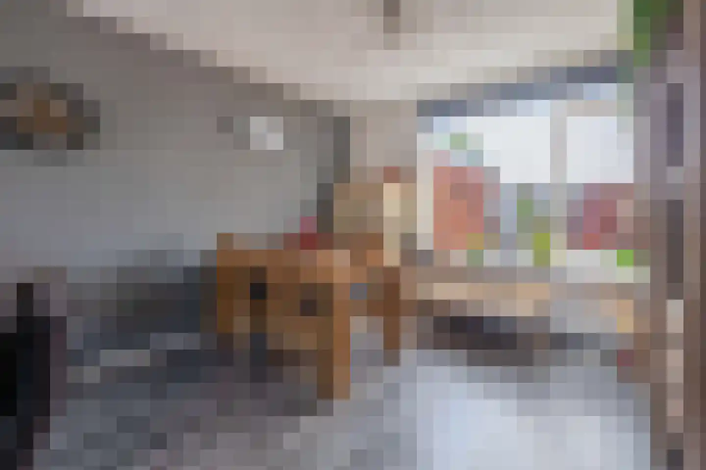 Meierijlaan 11 Stadskanaal thumbnail 15