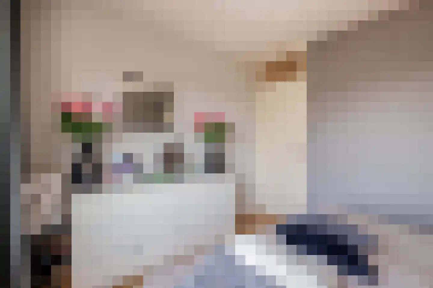 Meierijlaan 11 Stadskanaal thumbnail 25