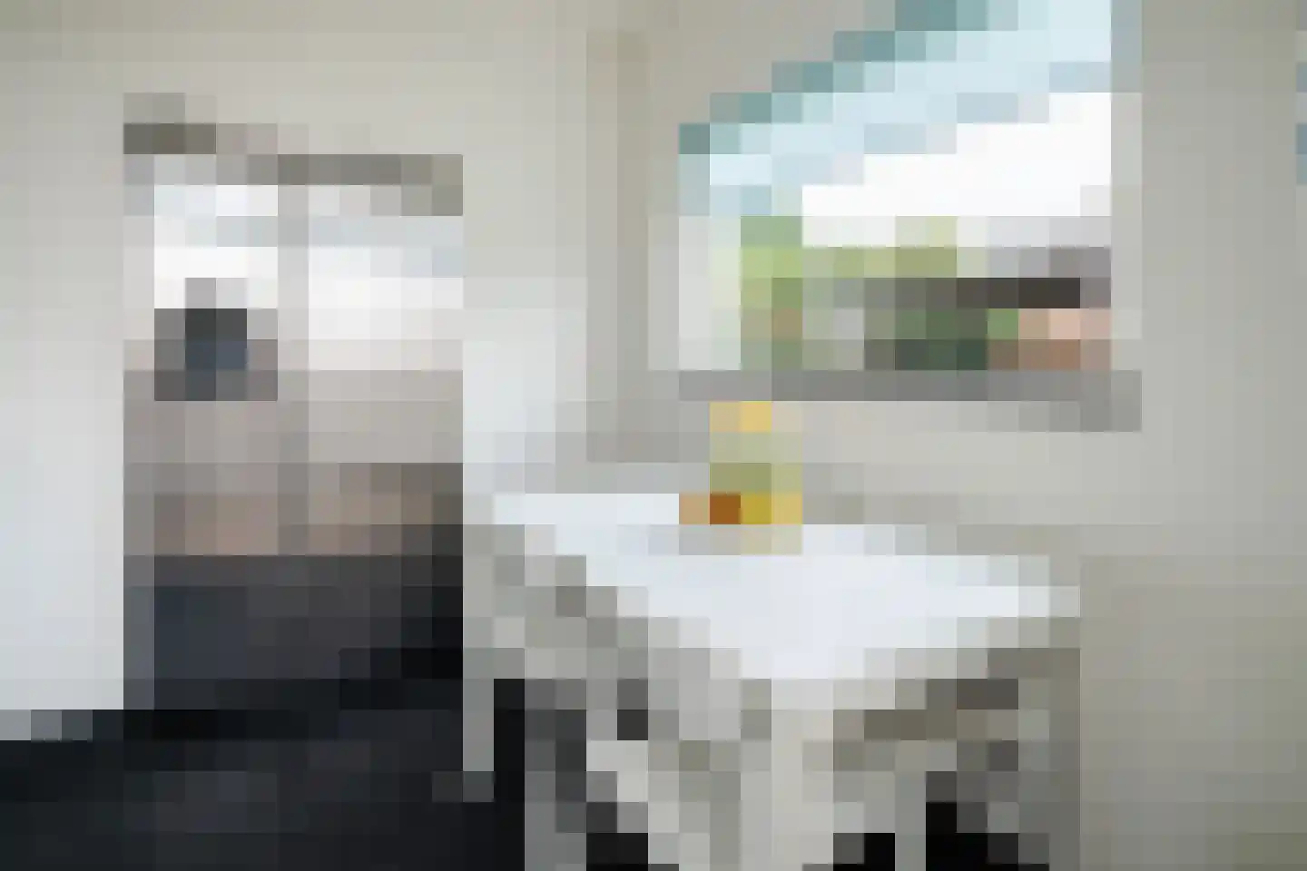Meierijlaan 12 Son en Breugel thumbnail 22