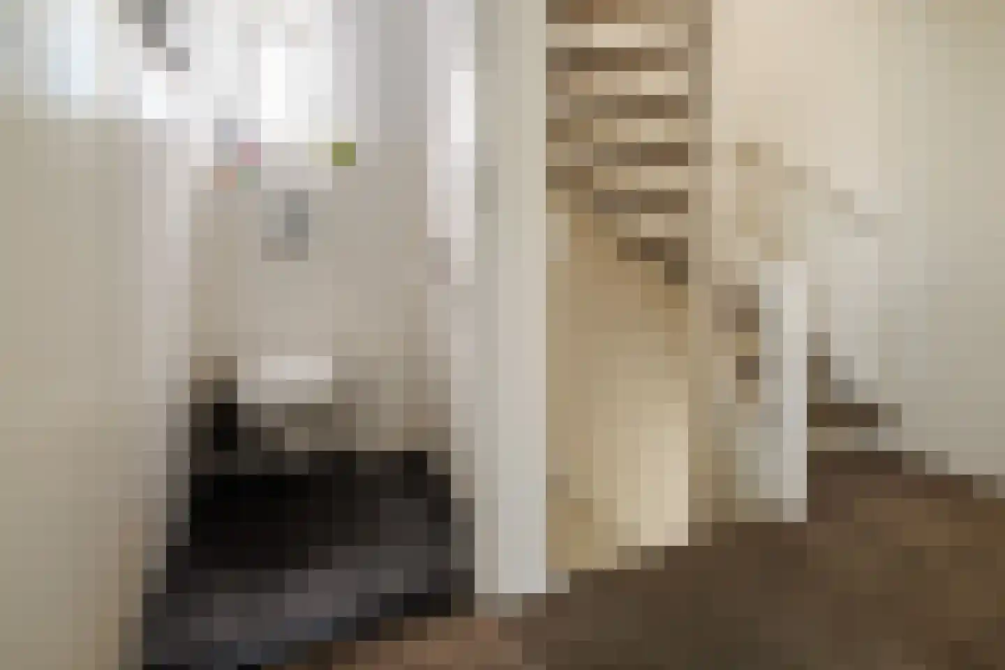 Meierijlaan 12 Son en Breugel thumbnail 26