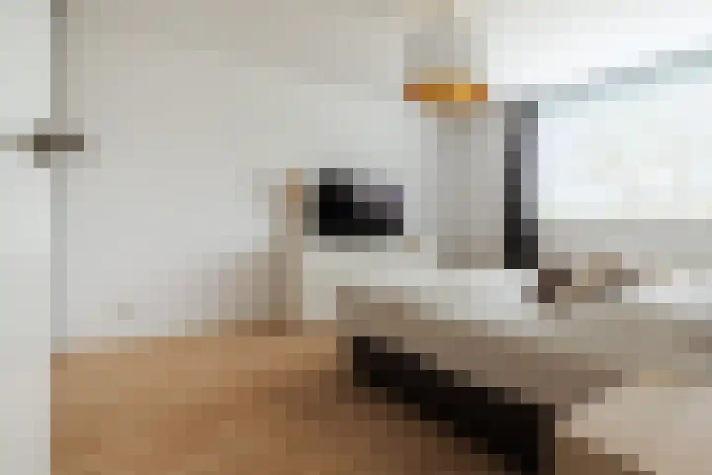 Meierijlaan 12 Son en Breugel thumbnail 28