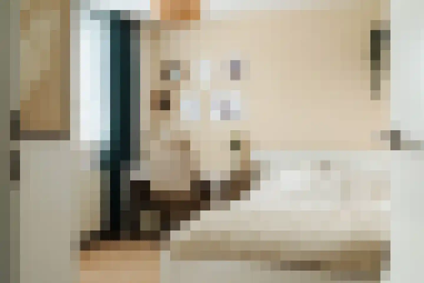 Meierijlaan 12 Son en Breugel thumbnail 32