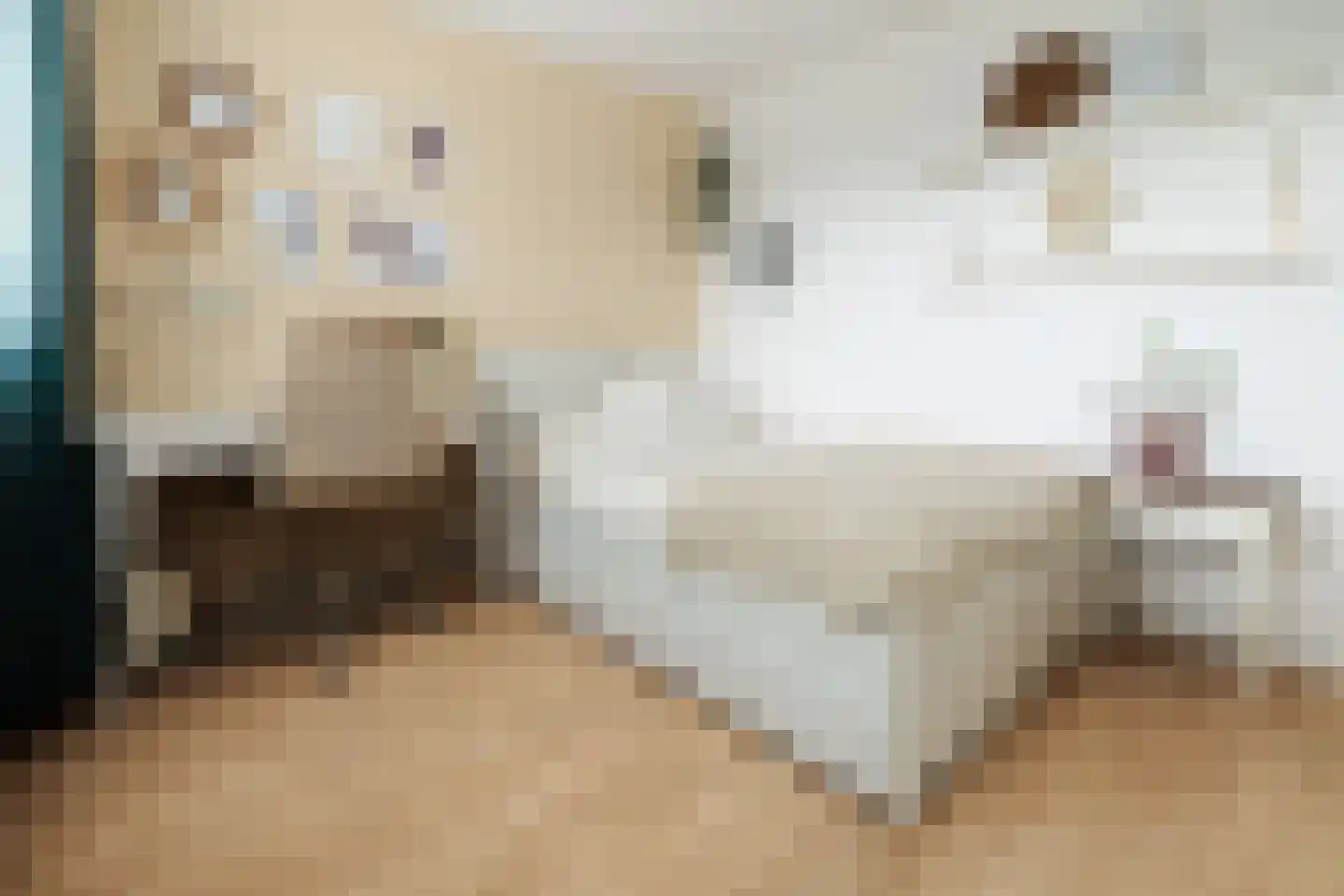 Meierijlaan 12 Son en Breugel thumbnail 34