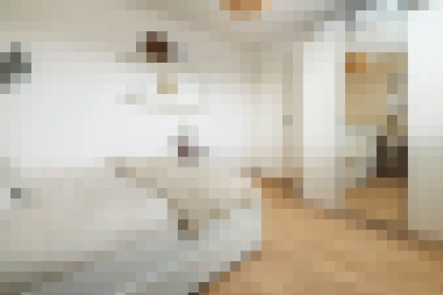 Meierijlaan 12 Son en Breugel thumbnail 35