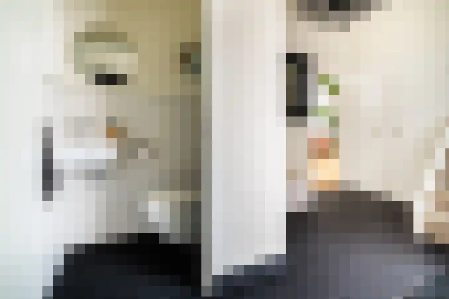 Meierijlaan 12 Son en Breugel thumbnail 4