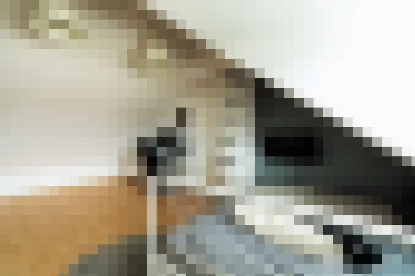 Meierijlaan 12 Son en Breugel thumbnail 41