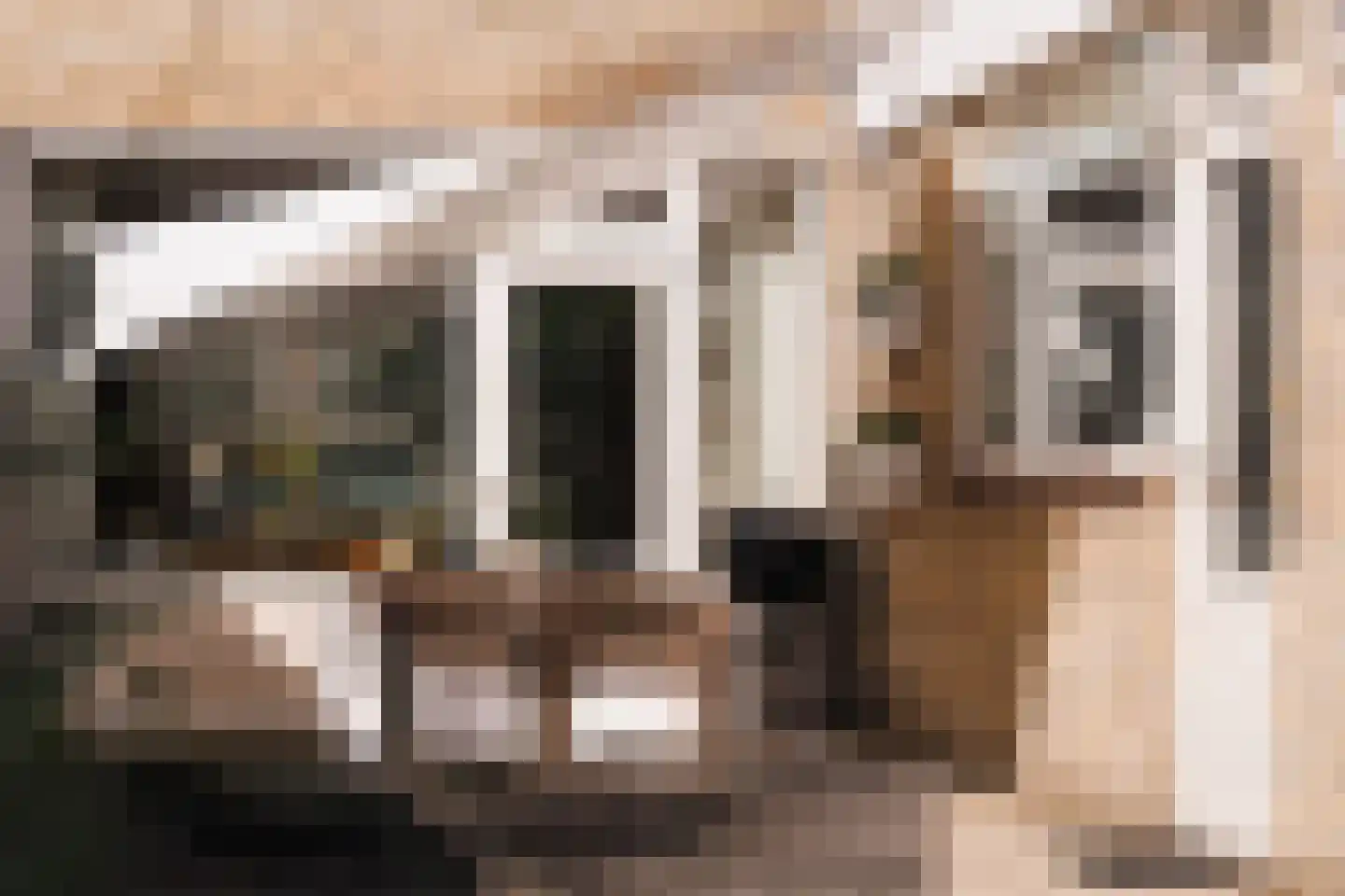 Meierijlaan 12 Son en Breugel thumbnail 44