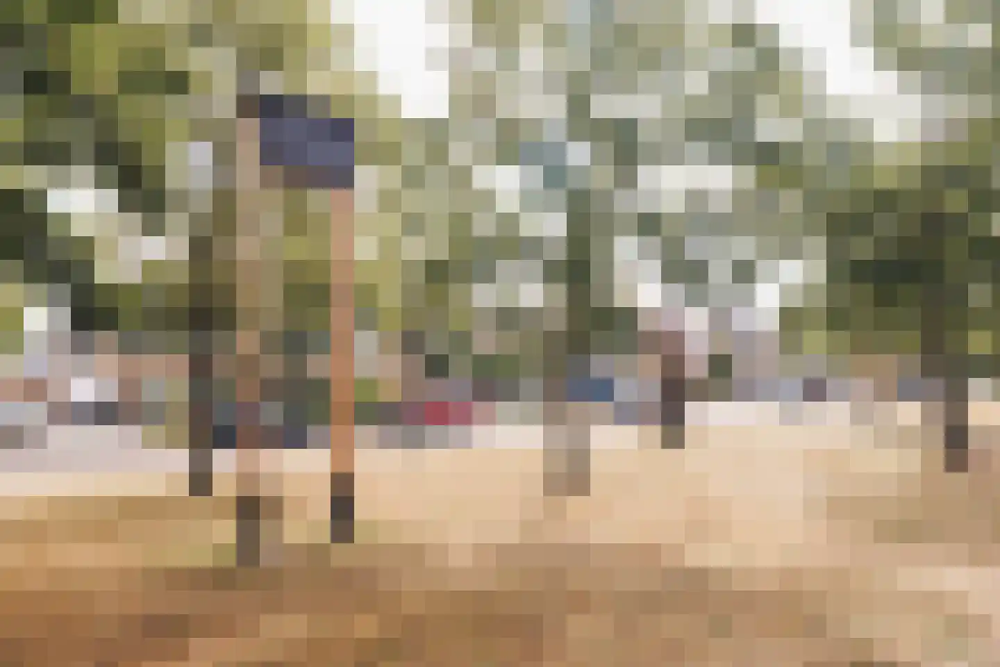 Meierijlaan 12 Son en Breugel thumbnail 50
