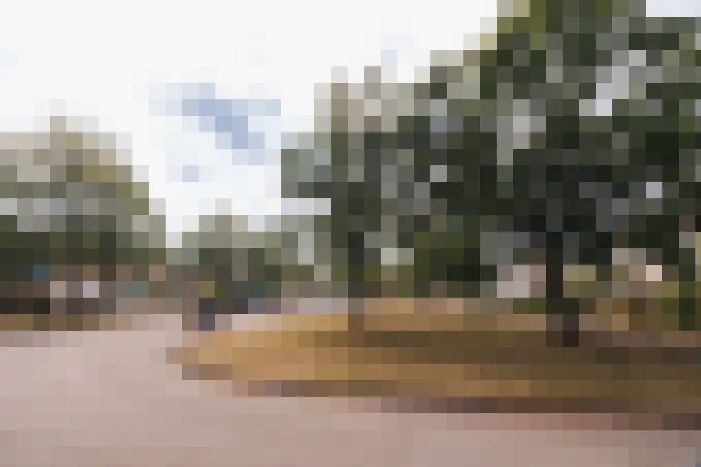 Meierijlaan 12 Son en Breugel thumbnail 51