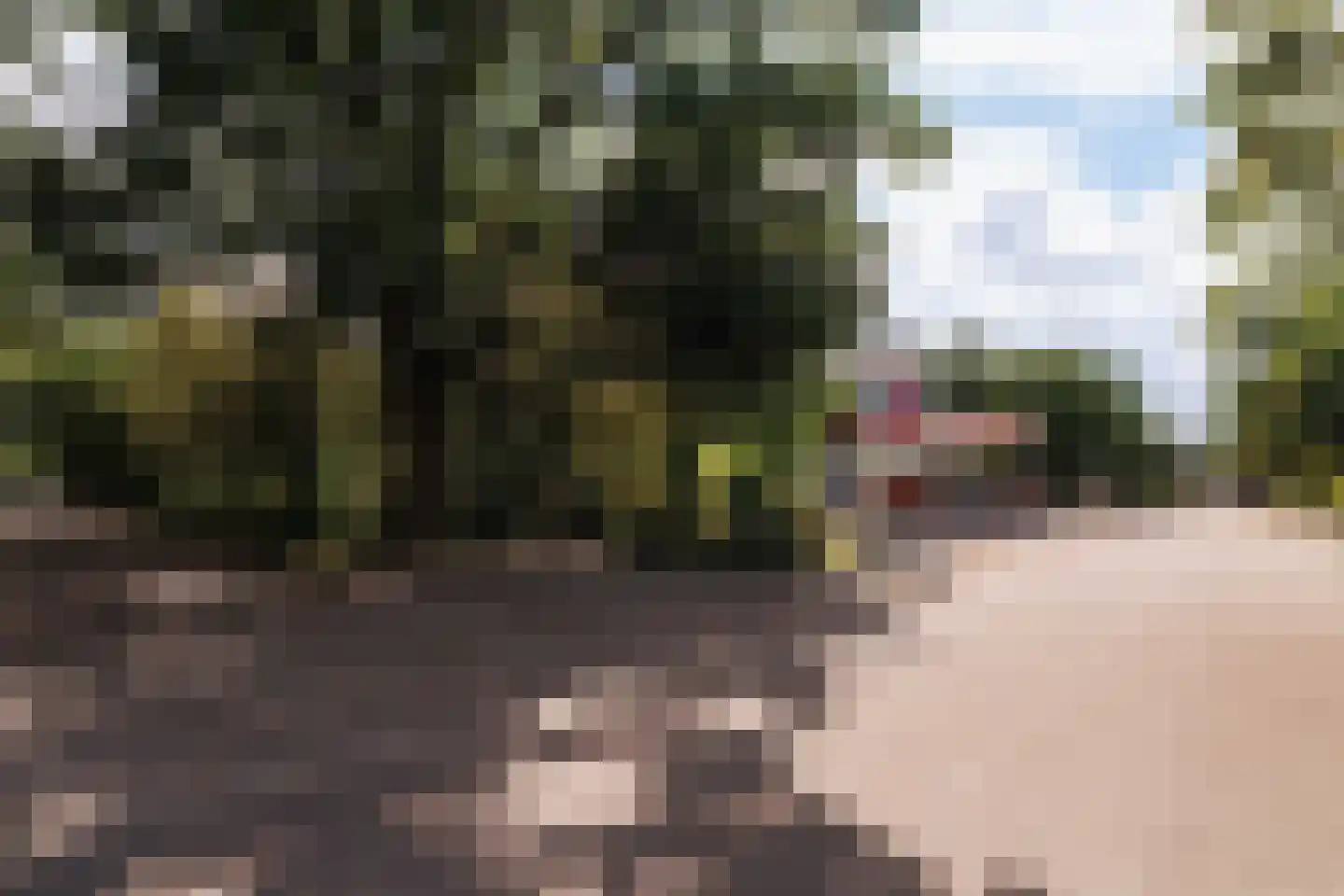 Meierijlaan 12 Son en Breugel thumbnail 56