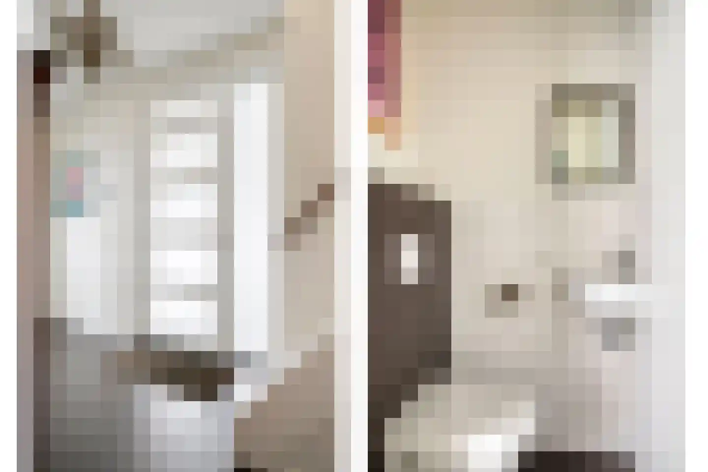 Meierijlaan 18 Son en Breugel thumbnail 20