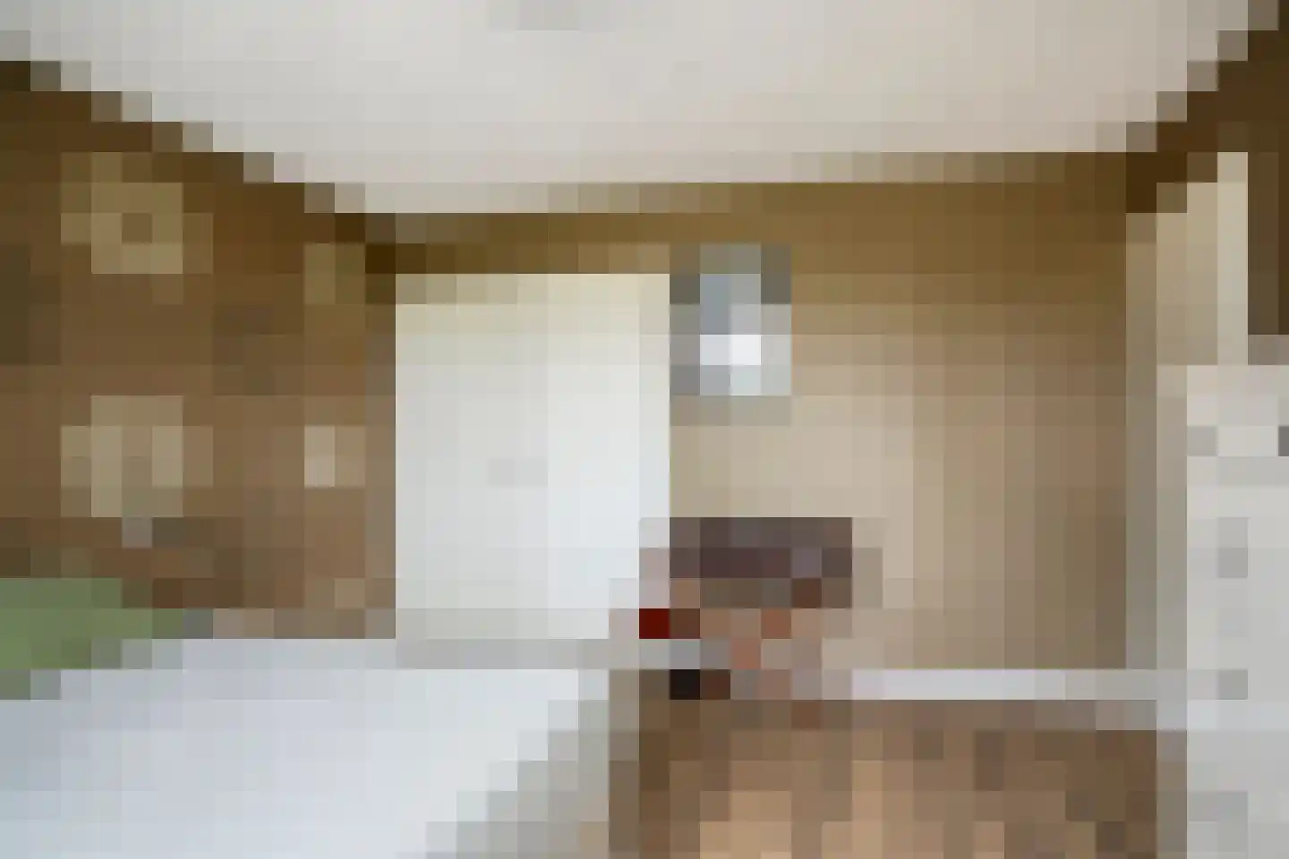 Meierijlaan 18 Son en Breugel thumbnail 23