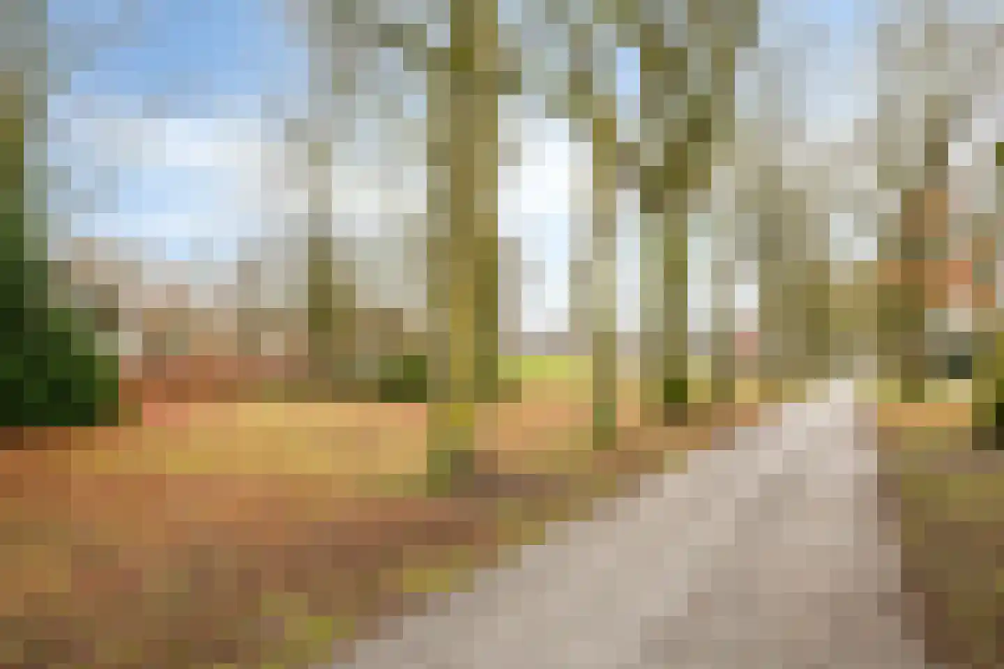 Meierijlaan 18 Son en Breugel thumbnail 44