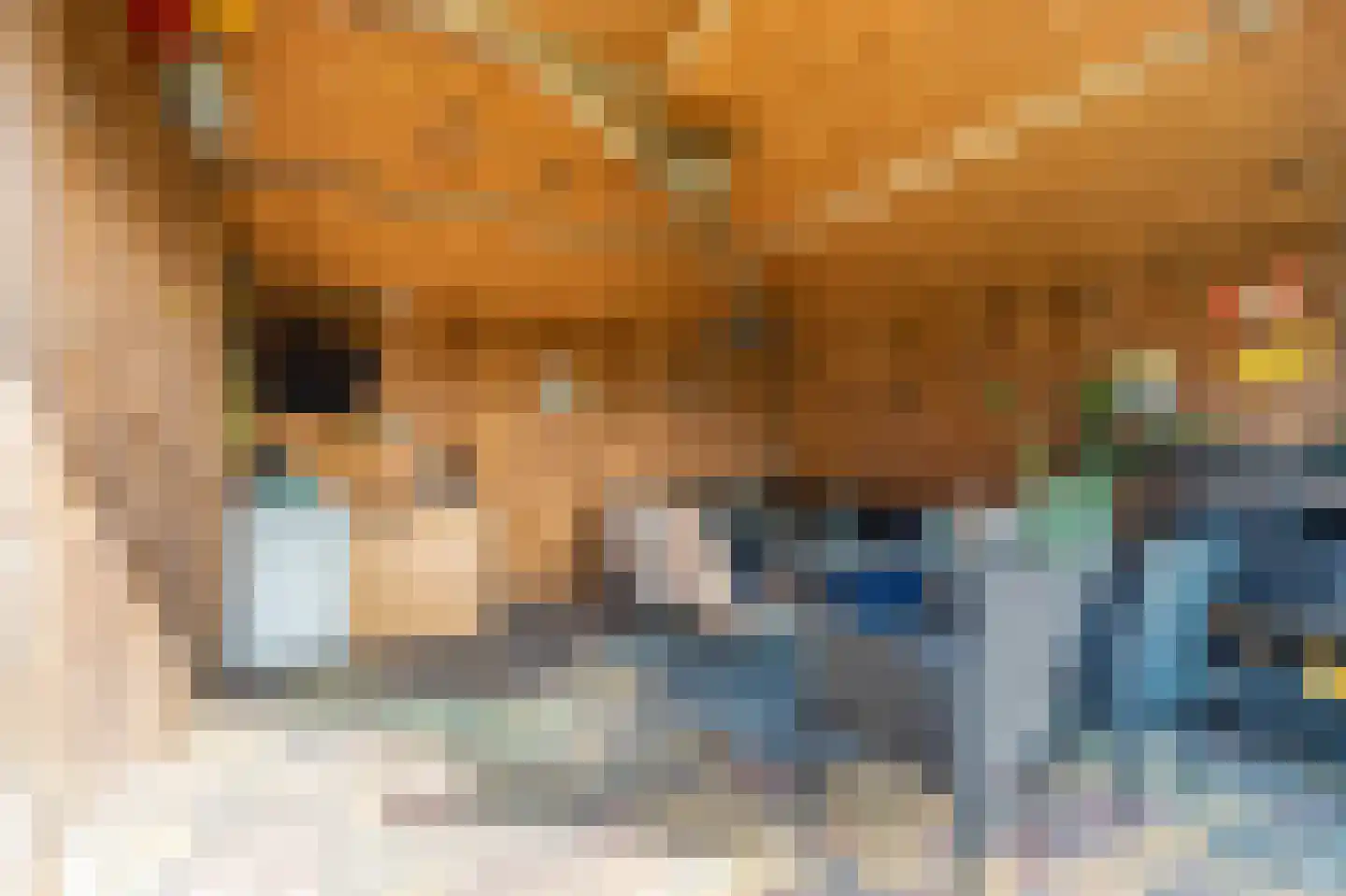 Meierijlaan 2 Stadskanaal thumbnail 12