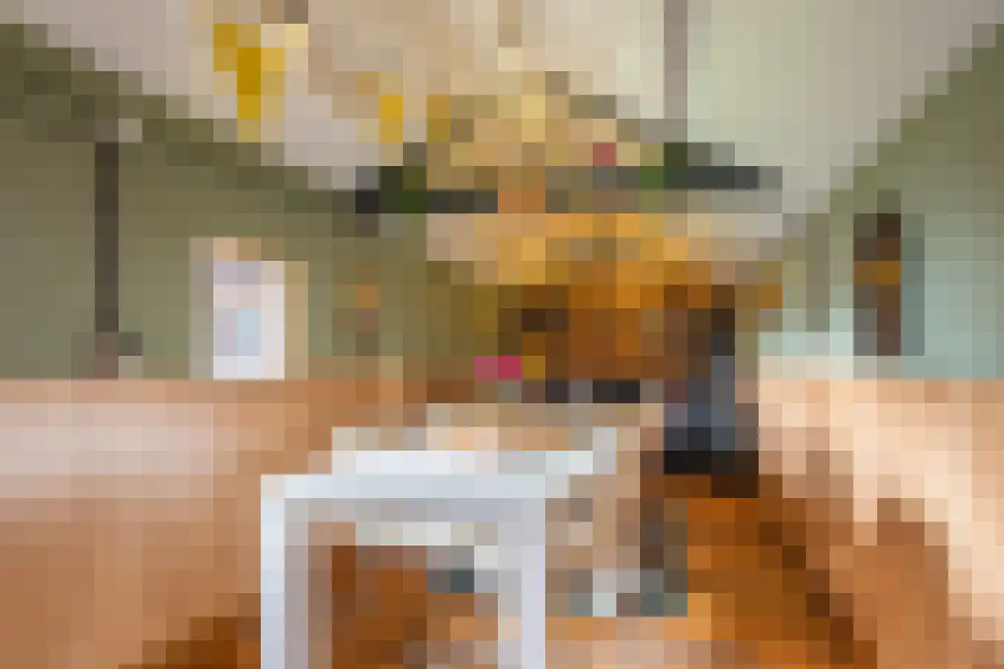 Meierijlaan 2 Stadskanaal thumbnail 15
