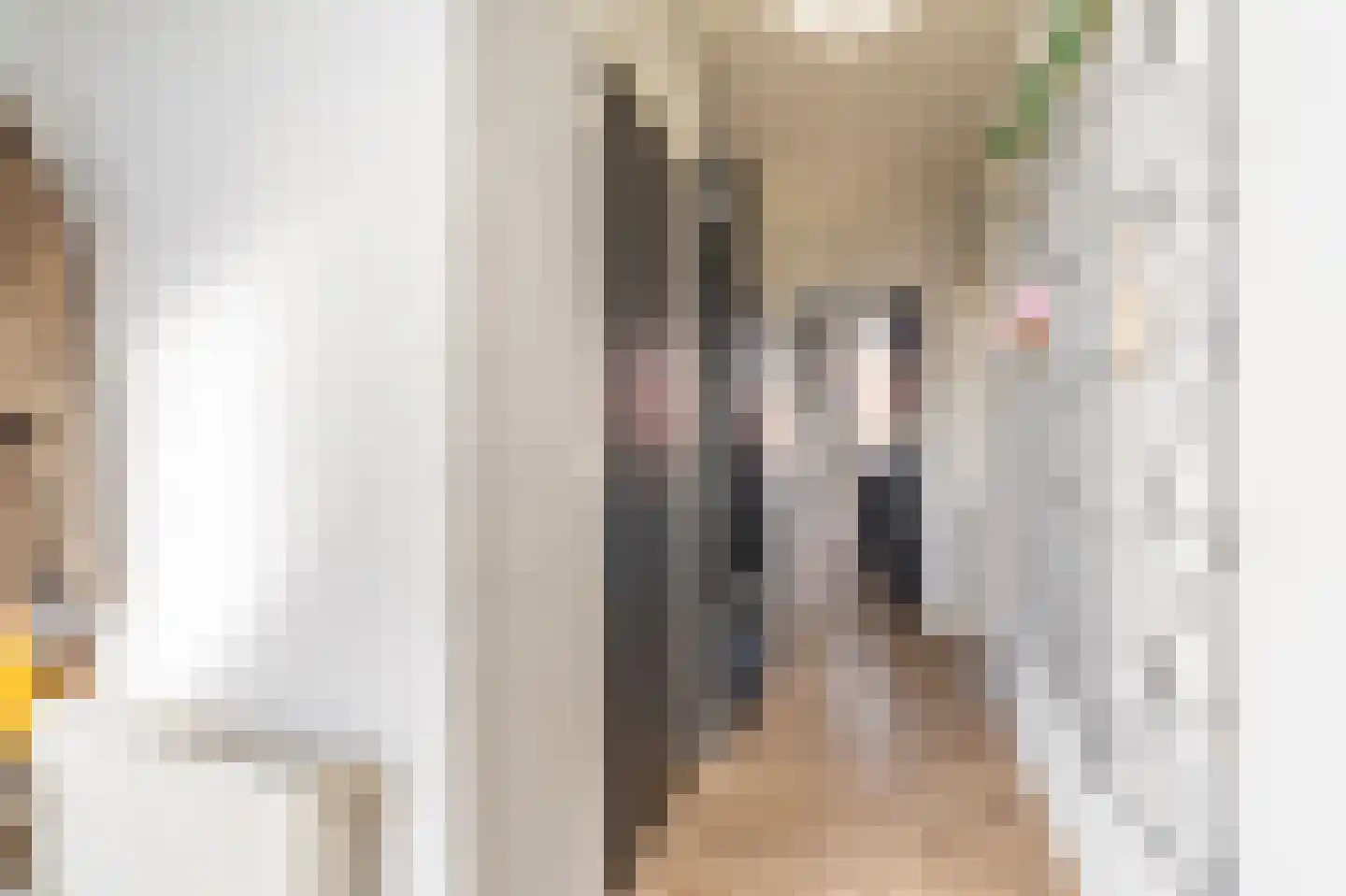 Meierijlaan 2 Stadskanaal thumbnail 20