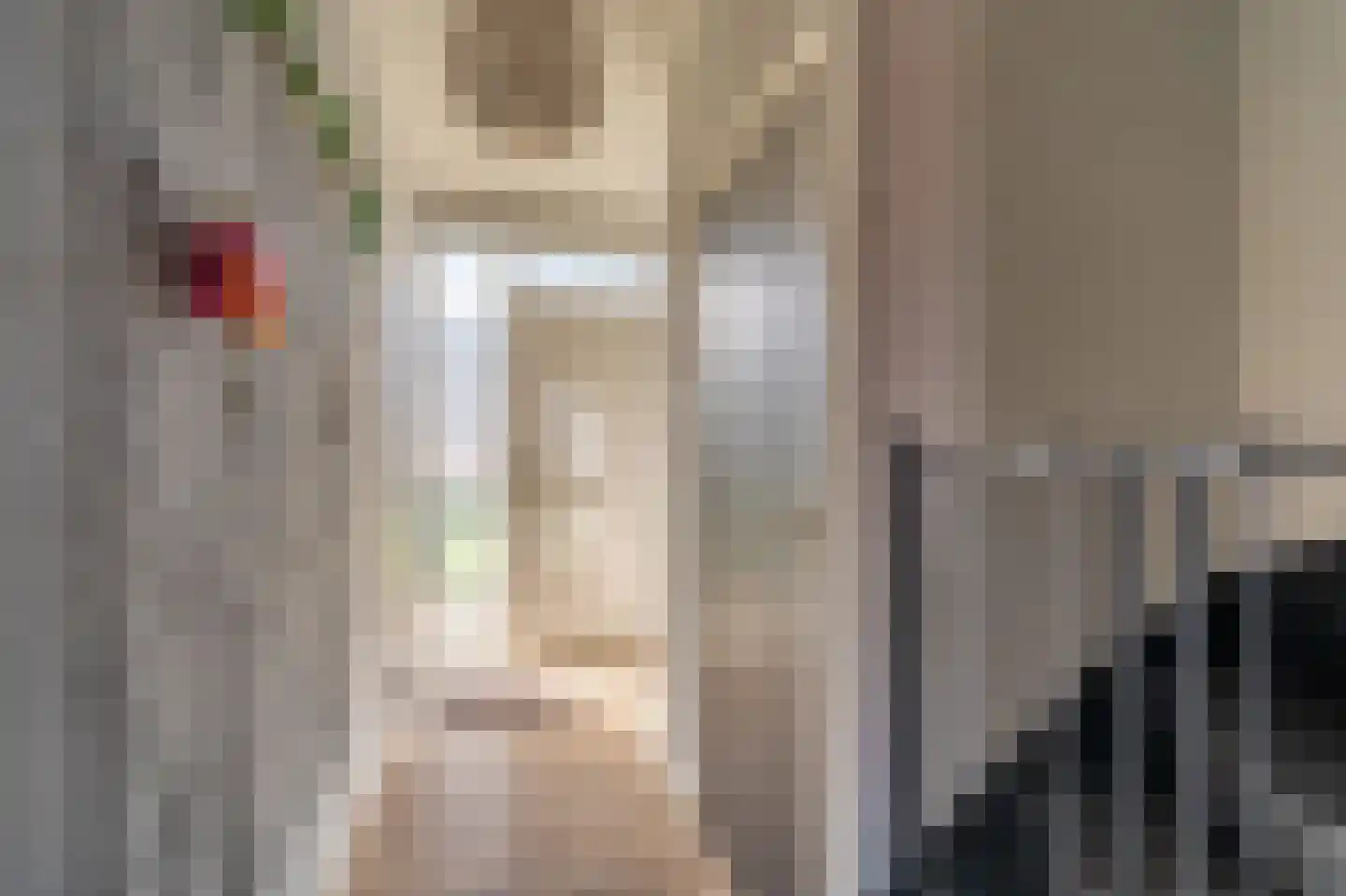 Meierijlaan 2 Stadskanaal thumbnail 22