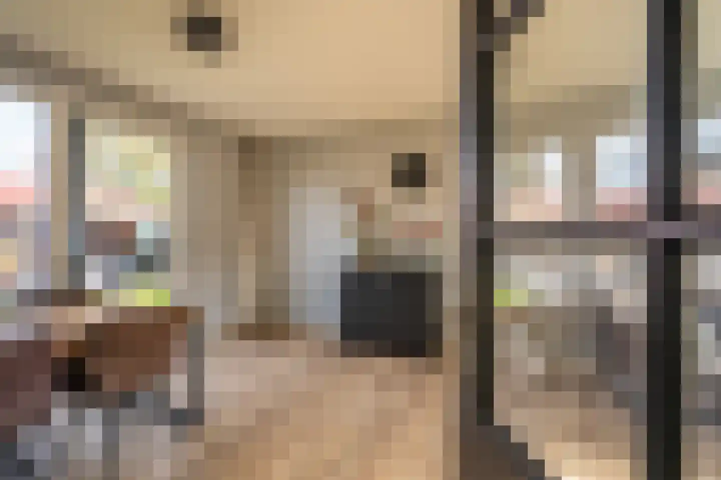 Meierijlaan 2 Stadskanaal thumbnail 24