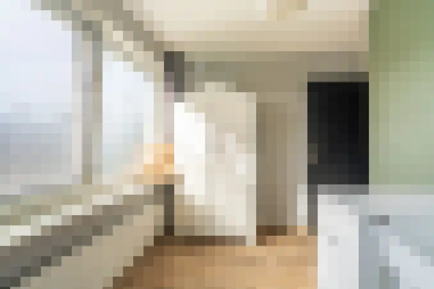 Meierijlaan 2 Stadskanaal thumbnail 43