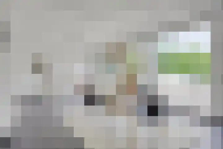 Meierijlaan 20 Nuenen thumbnail 12
