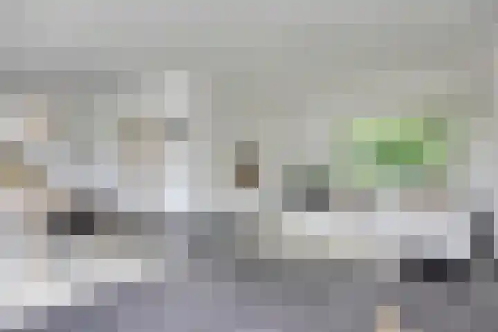 Meierijlaan 20 Nuenen thumbnail 14