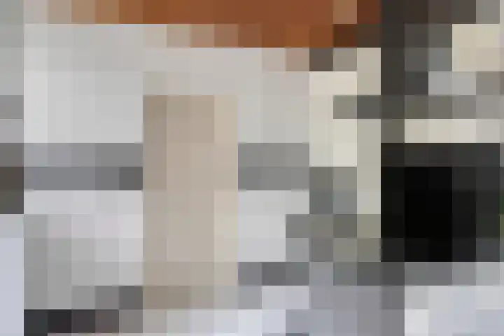 Meierijlaan 20 Nuenen thumbnail 17