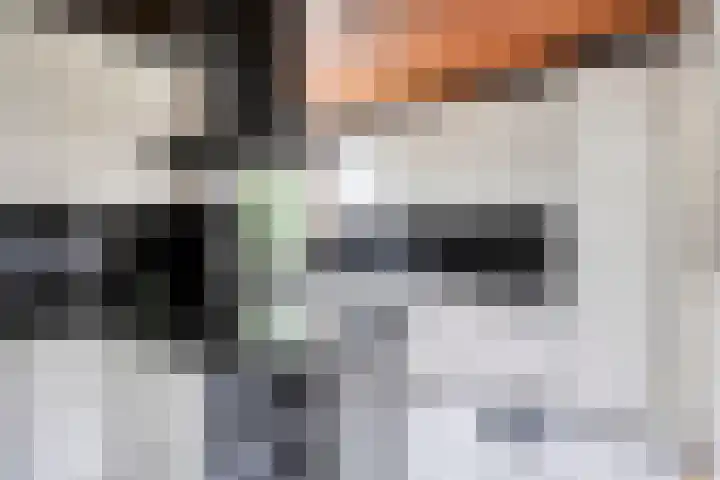 Meierijlaan 20 Nuenen thumbnail 19
