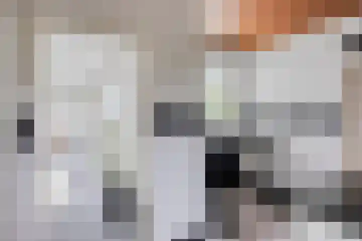 Meierijlaan 20 Nuenen thumbnail 21