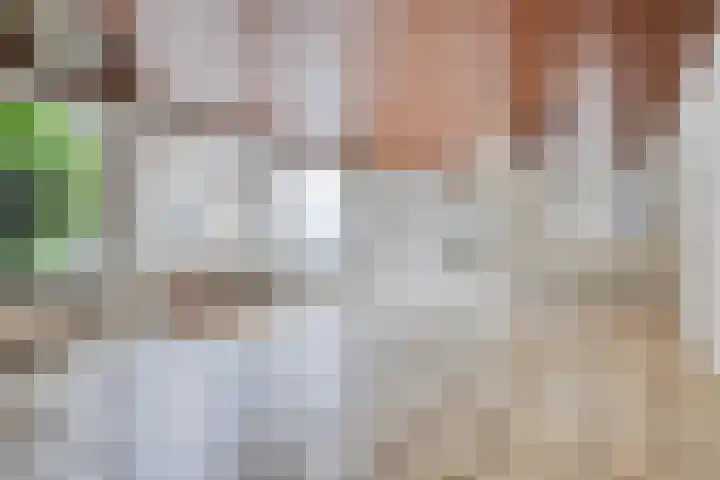 Meierijlaan 20 Nuenen thumbnail 25