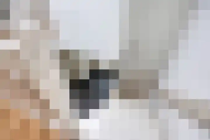 Meierijlaan 20 Nuenen thumbnail 29